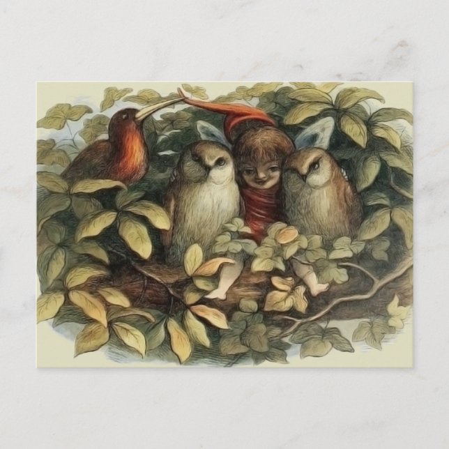 Carte Postale Illustration de la nature des hiboux et des fées d (Devant)