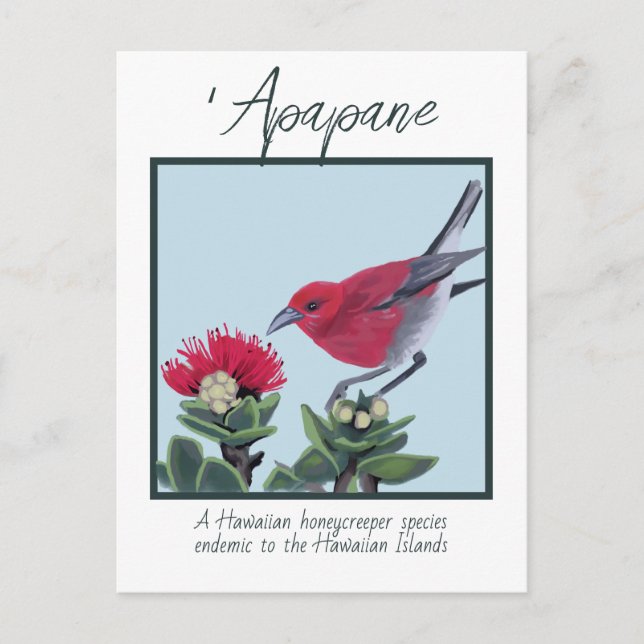 Carte Postale Illustration de la nature hawaïenne avec Apapane e (Devant)