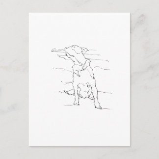 Carte Postale Illustration de l'Américain Staffordshire Terrier