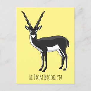 Carte Postale Illustration de l'antilope Blackbuck