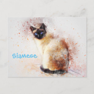 Carte Postale Illustration de l'aquarelle de chat siamois