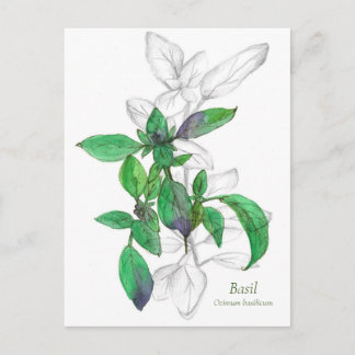 Carte Postale Illustration de l'aquarelle de Cuisine de base