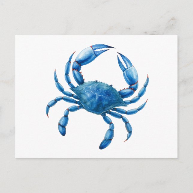 Carte Postale Illustration de l'aquarelle du crabe bleu - Vie ma (Devant)