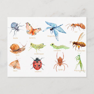 Carte Postale Illustration de l'insecte de l'aquarelle