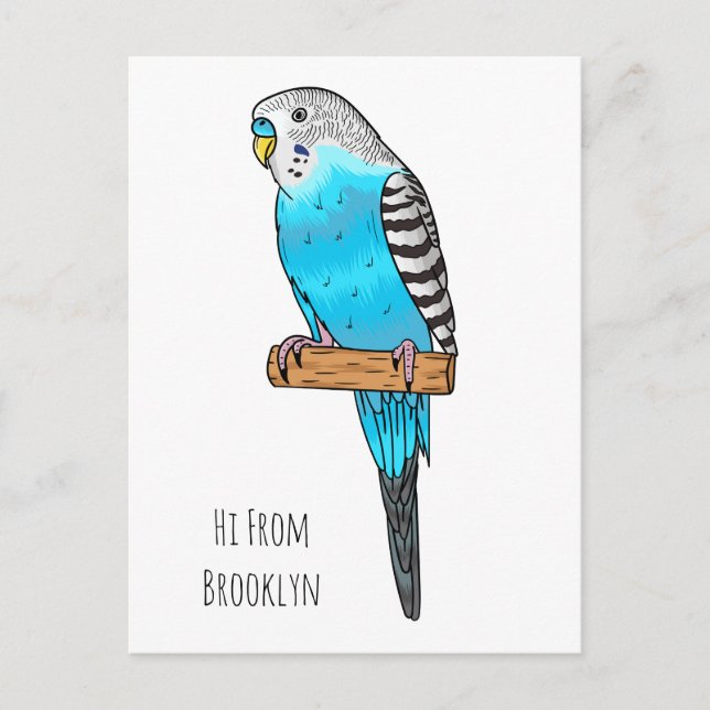 Carte Postale Illustration de l'oiseau bleu budgerigar (Devant)