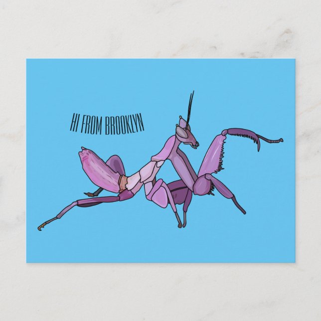 Carte Postale Illustration de l'orchidée mante (Devant)