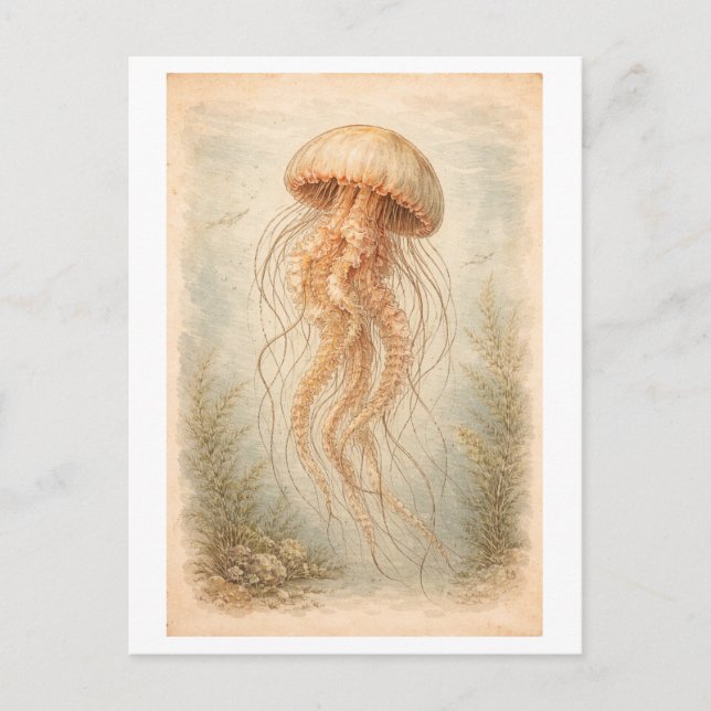 Carte Postale Illustration de méduse de style vintage (Devant)