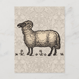 Carte Postale Illustration de mouton vintage : Art classique de