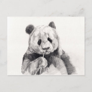 Carte Postale Illustration de panda noir et blanc mignon