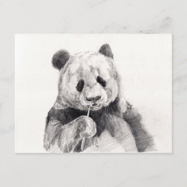 Carte Postale Illustration de panda noir et blanc mignon (Devant)