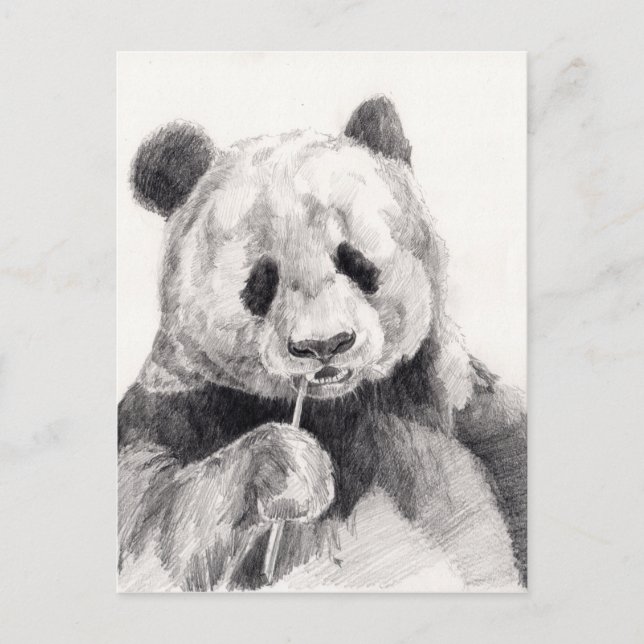 Carte Postale Illustration de panda noir et blanc mignon (Devant)