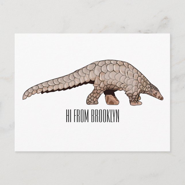 Carte Postale Illustration de Pangolin (Devant)