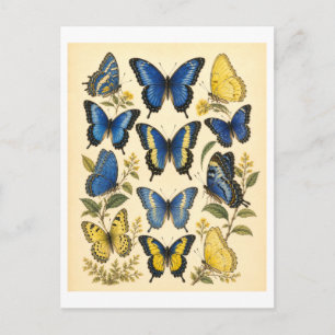 Carte Postale Illustration de papillon bleu et jaune de style vi