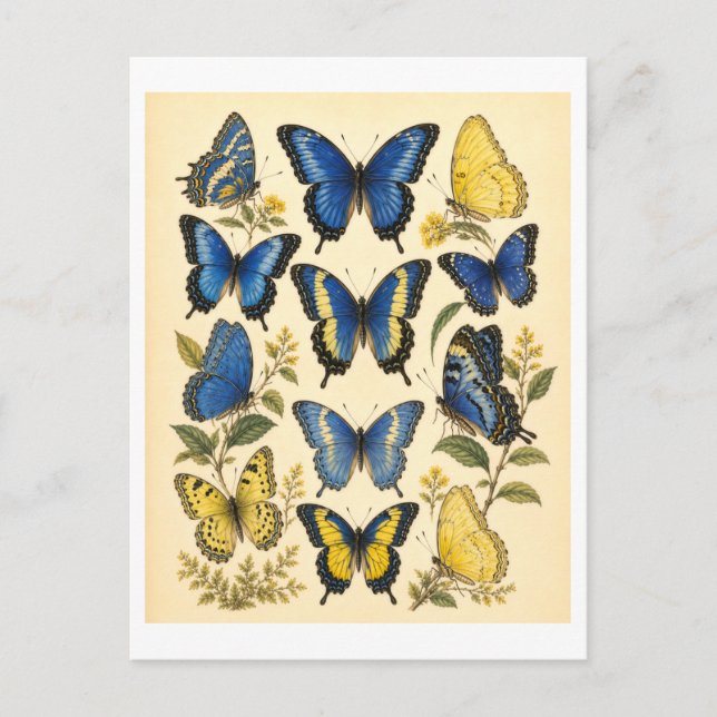 Carte Postale Illustration de papillon bleu et jaune de style vi (Devant)