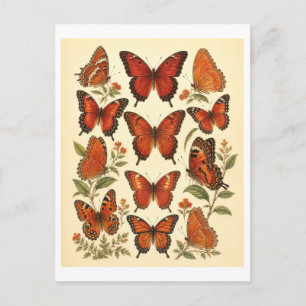 Carte Postale Illustration de papillon rouge de style vintage