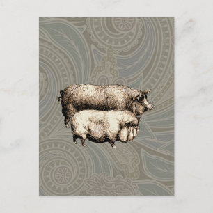 Carte Postale Illustration de porc de ferme vintage campagne ant