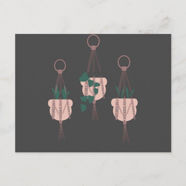 Carte Postale Illustration de pots de plantes suspendus en macra (Devant)