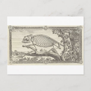 Carte Postale Illustration de squelette de caméléon