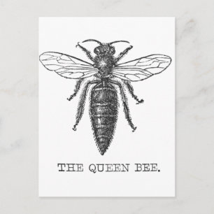 Carte Postale Illustration des abeilles de l'insecte de la reine
