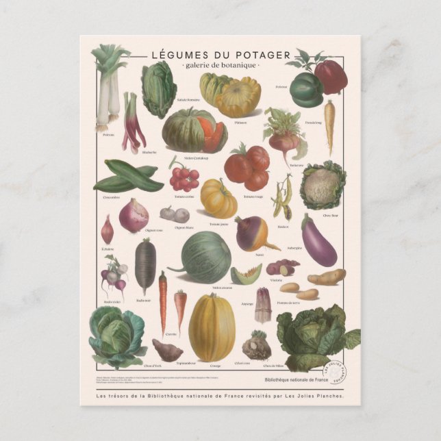Carte Postale Illustration des légumes