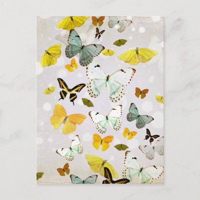 Carte Postale Illustration des papillons (Devant)