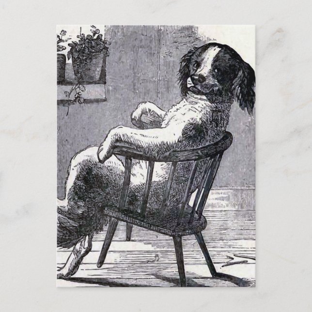 Carte Postale Illustration "Dog Sitting in a Chair" (Devant)