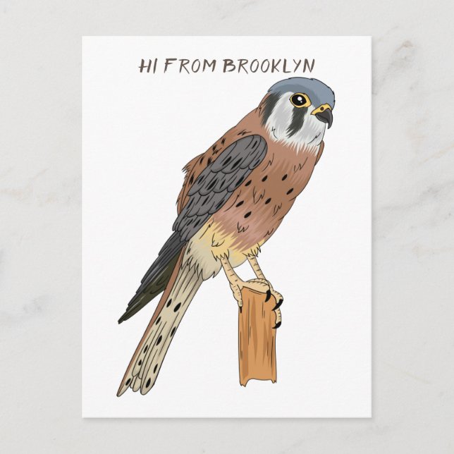 Carte Postale Illustration d'oiseau américain Kestrel (Devant)