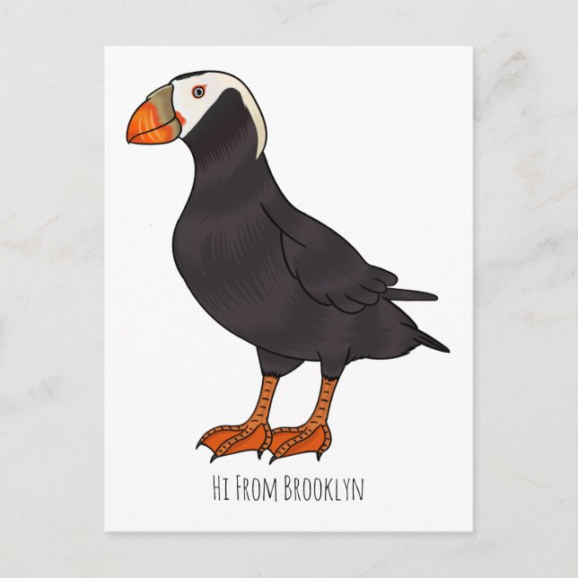Carte Postale Illustration d'oiseau bouffon touffu (Devant)