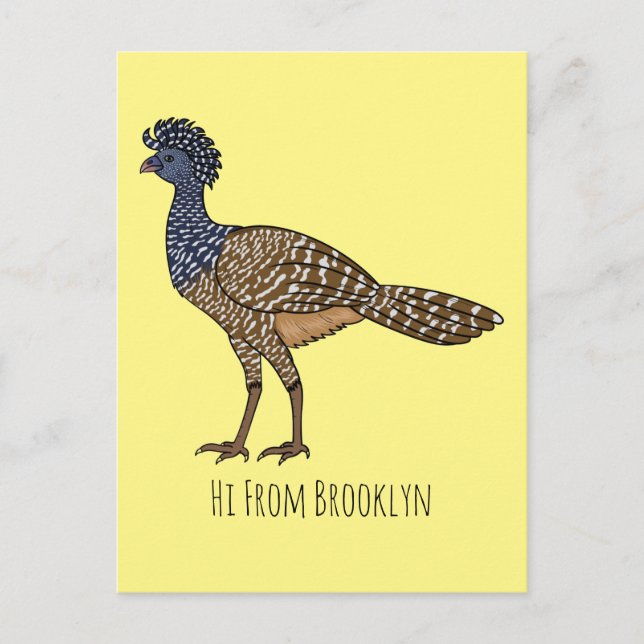 Carte Postale Illustration d'oiseau de curassow (Devant)