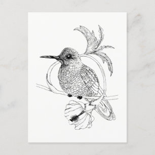 Carte postale Illustration d'oiseaux Colibri