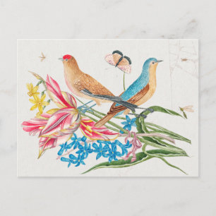 Carte Postale Illustration d'oiseaux vintages
