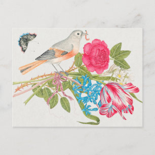 Carte Postale Illustration d'oiseaux vintages