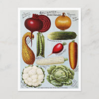 Illustration du catalogue des semences de légumes 