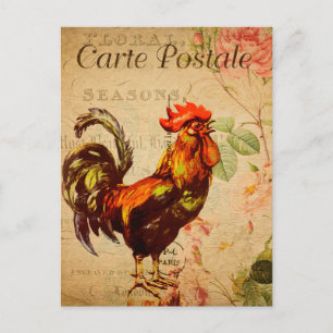 Carte Postale Illustration du coq de poulet vintage