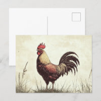 Illustration du coq ton Vintage
