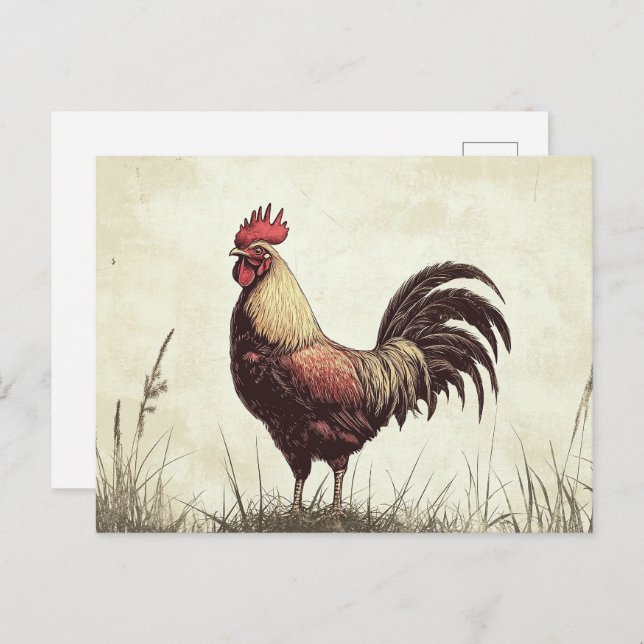 Carte Postale Illustration du coq ton Vintage (Devant / Derrière)