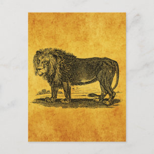 Carte Postale Illustration du lion vintage - Animal africain des