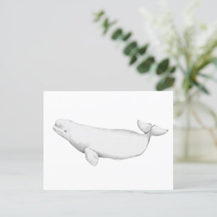 Carte Postale Illustration du livre de baleines Beluga élégant