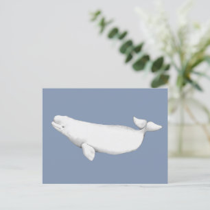 Carte Postale Illustration du livre de baleines Beluga élégant