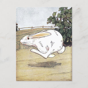 Carte Postale Illustration du livre pour enfants de lapin vintag