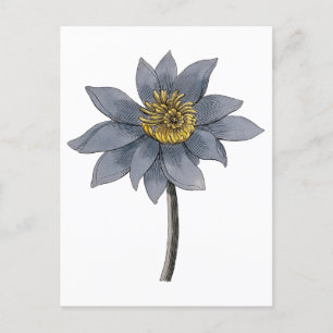 Carte Postale Illustration du lotus bleu dessiné à la main