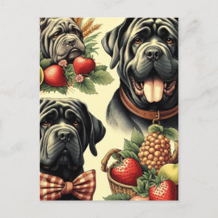 Carte Postale Illustration du Mastiff napolitain vintage