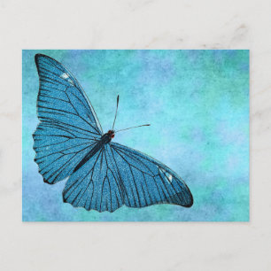 Carte Postale Illustration du papillon bleu Turquoise vintage de