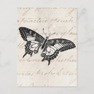 Carte Postale Illustration du papillon vintage des années 1800