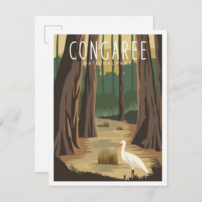 Carte Postale Illustration du Parc national du Congaree en Carol (Devant / Derrière)