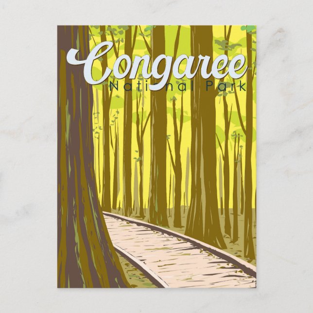 Carte Postale Illustration du parc national du Congaree Voyage V (Devant)