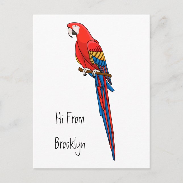 Carte Postale Illustration du perroquet de macaw Scarlet (Devant)