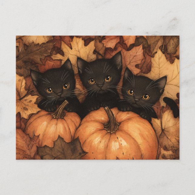 Carte Postale Illustration du trio Kitten noir (Devant)