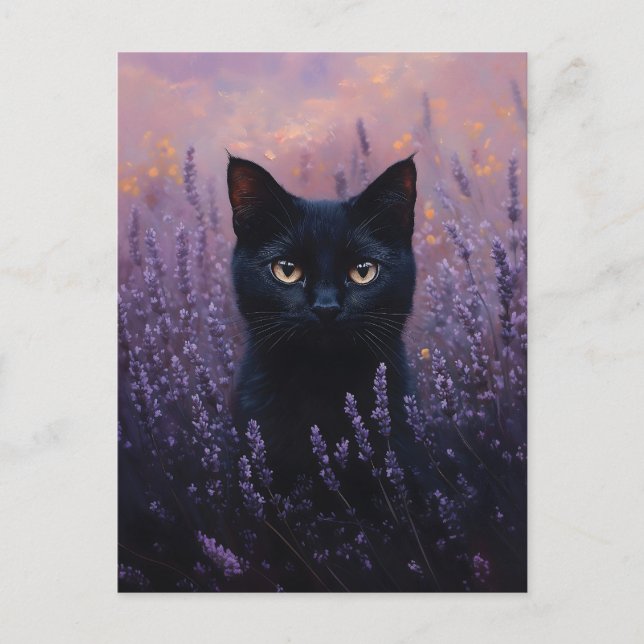Carte Postale Illustration d'un chat noir dans un champ de lavan (Devant)