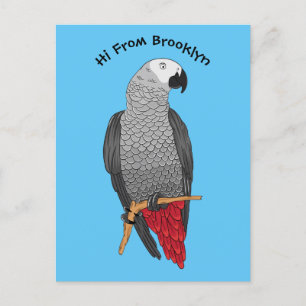 Carte Postale Illustration d'un perroquet gris en Afrique